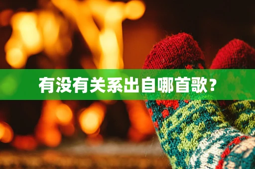 有没有关系出自哪首歌？
