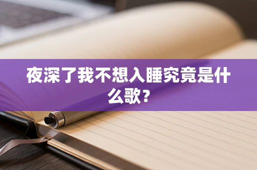 夜深了我不想入睡究竟是什么歌？