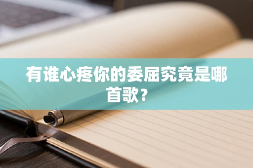 有谁心疼你的委屈究竟是哪首歌？