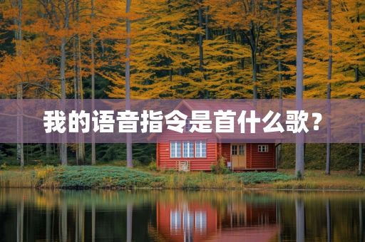 我的语音指令是首什么歌？