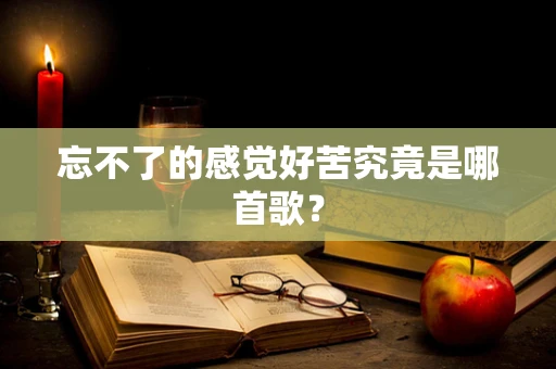 忘不了的感觉好苦究竟是哪首歌？