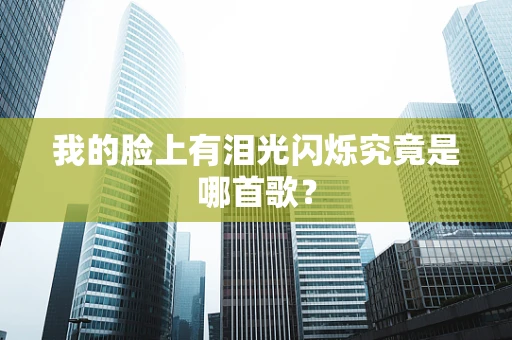 我的脸上有泪光闪烁究竟是哪首歌？