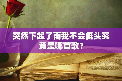 突然下起了雨我不会低头究竟是哪首歌？