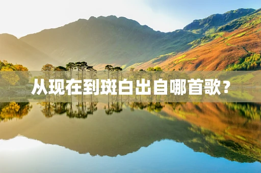 从现在到斑白出自哪首歌？