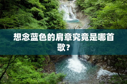 想念蓝色的肩章究竟是哪首歌？