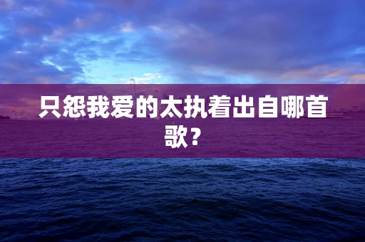 只怨我爱的太执着出自哪首歌？