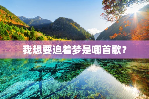 我想要追着梦是哪首歌？