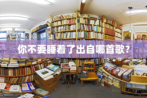 你不要睡着了出自哪首歌？