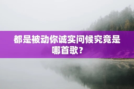 都是被动你诚实问候究竟是哪首歌？