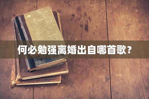 何必勉强离婚出自哪首歌？