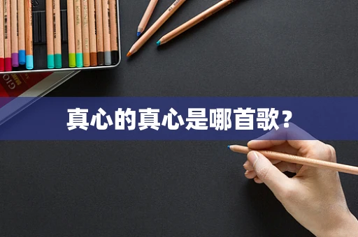 真心的真心是哪首歌？