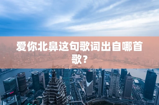 爱你北鼻这句歌词出自哪首歌？