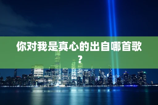 你对我是真心的出自哪首歌？