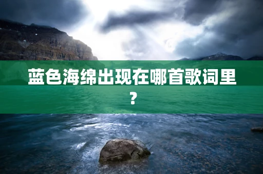 蓝色海绵出现在哪首歌词里？