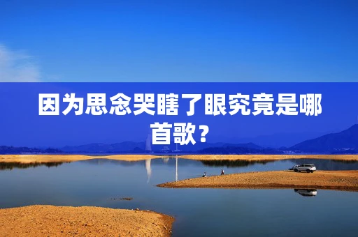 因为思念哭瞎了眼究竟是哪首歌？