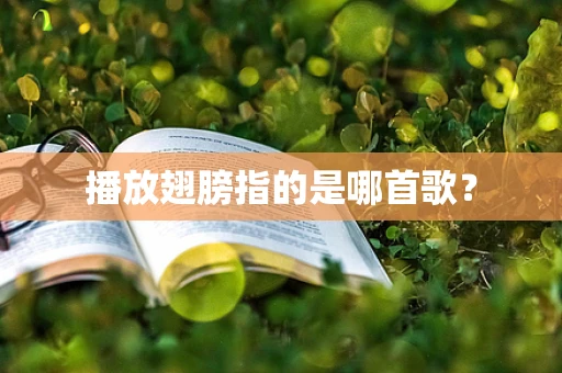 播放翅膀指的是哪首歌？