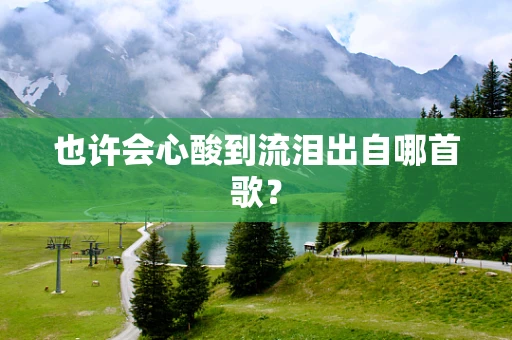 也许会心酸到流泪出自哪首歌？