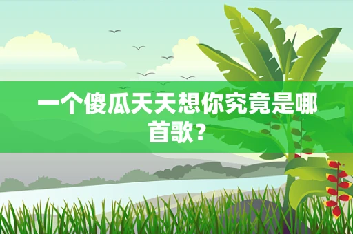 一个傻瓜天天想你究竟是哪首歌？