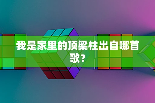 我是家里的顶梁柱出自哪首歌？