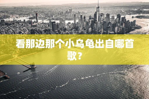 看那边那个小乌龟出自哪首歌？
