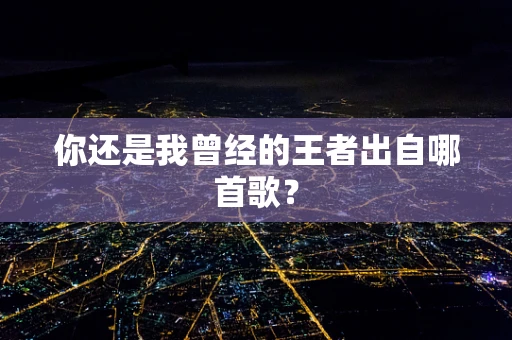 你还是我曾经的王者出自哪首歌？