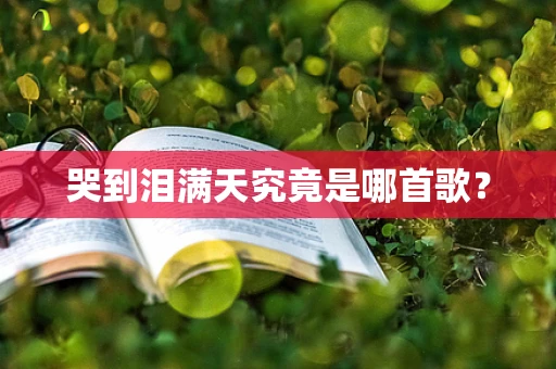 哭到泪满天究竟是哪首歌？