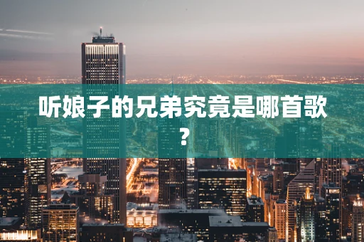 听娘子的兄弟究竟是哪首歌？