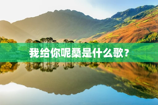 我给你呢桑是什么歌？