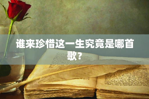 谁来珍惜这一生究竟是哪首歌？