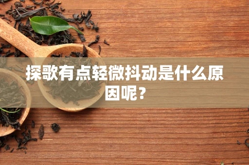 探歌有点轻微抖动是什么原因呢？