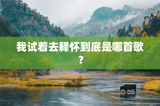 我试着去释怀到底是哪首歌？