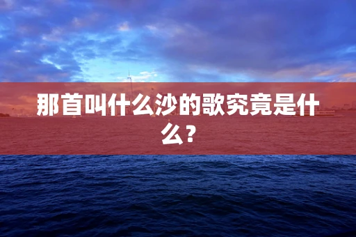 那首叫什么沙的歌究竟是什么？