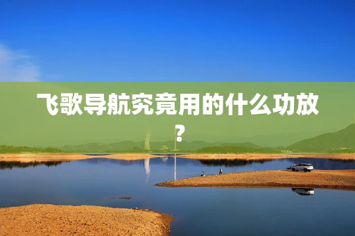 飞歌导航究竟用的什么功放？