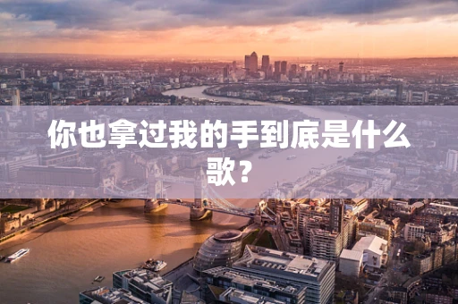 你也拿过我的手到底是什么歌？