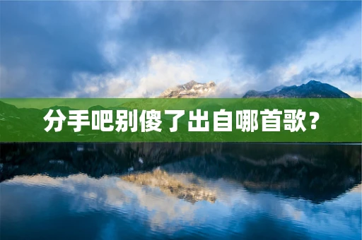 分手吧别傻了出自哪首歌？