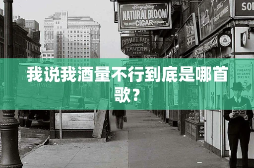我说我酒量不行到底是哪首歌？