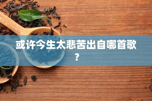 或许今生太悲苦出自哪首歌？