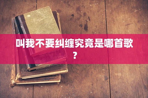 叫我不要纠缠究竟是哪首歌？
