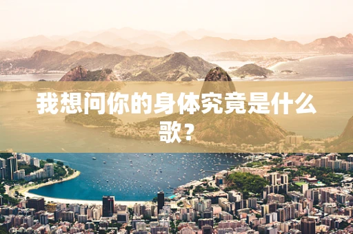 我想问你的身体究竟是什么歌？