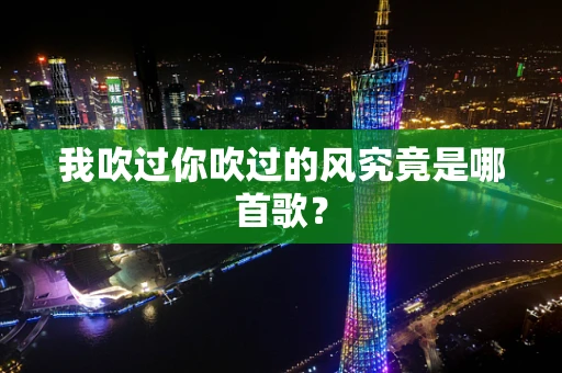 我吹过你吹过的风究竟是哪首歌？