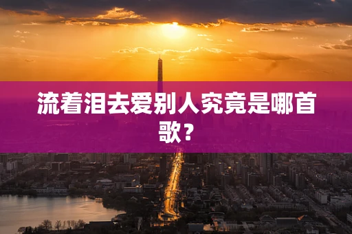 流着泪去爱别人究竟是哪首歌？