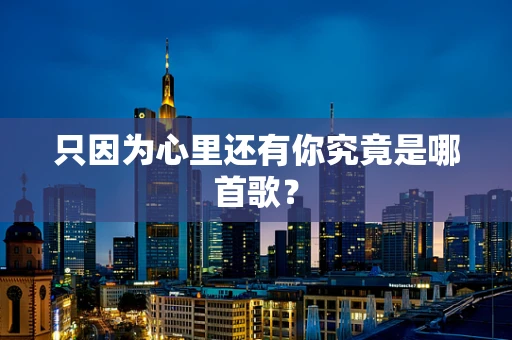 只因为心里还有你究竟是哪首歌？