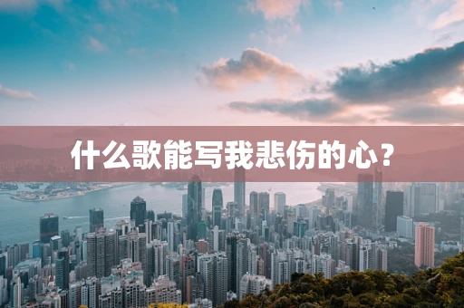 什么歌能写我悲伤的心？