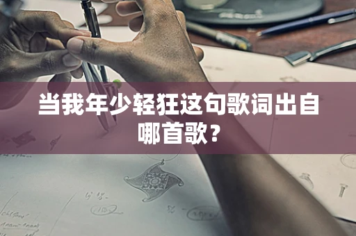 当我年少轻狂这句歌词出自哪首歌？