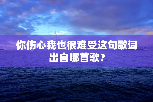 你伤心我也很难受这句歌词出自哪首歌？