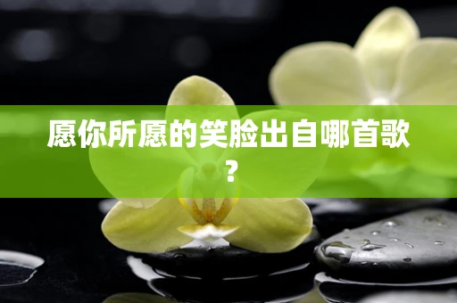 愿你所愿的笑脸出自哪首歌？