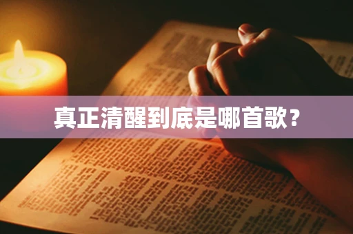 真正清醒到底是哪首歌？