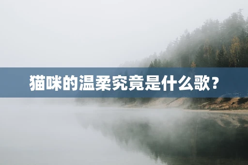 猫咪的温柔究竟是什么歌？