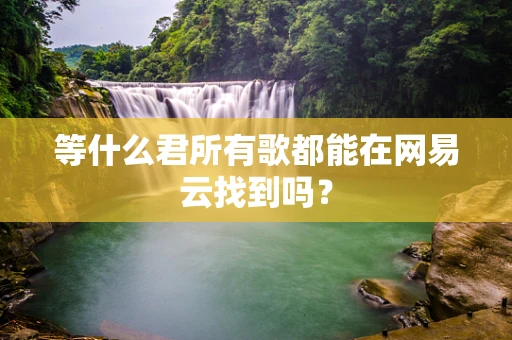 等什么君所有歌都能在网易云找到吗？