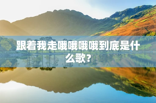 跟着我走哦哦哦哦到底是什么歌？